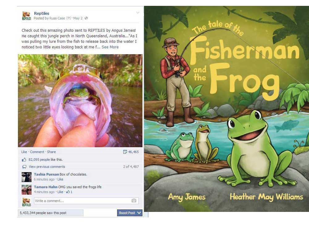 The Fisherman And the Frog Book Impressed By Viral Image Posted to REPTILES Fb Net web page