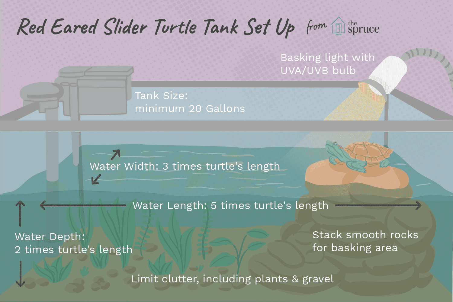 One of the best ways to Set Up a Tank for a Pink-Eared Slider Turtle